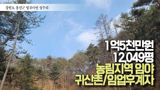 홍천군 영귀미면 성수리 - 귀산촌/자연인/농림지역임야/12,049평/1억5천만원🏡