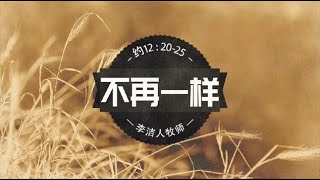 IMS Church 线上主日崇拜｜不再一样 20200308