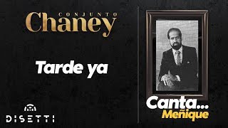 Conjunto Chaney - Tarde Ya | Salsa Para Bailar