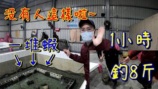 全台最狂釣蝦 小朋友都會的釣蝦 新年特別節目-大甲金勝發休閒釣蝦場