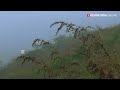 കോടമഞ്ഞ് മൂടിയ കാൽവരിമൗണ്ട് calvary mount ayyappankovil hanging bridge idukki tourism