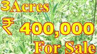 3 ఎకరాల భూమి అమ్మకానికి కలదు | 3 Acres Land For Sale Organic Vegetables Farming Land Rate ₹ 400,000L