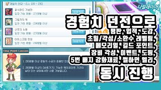 내실 개수가 많은 게임인데 내실이 쉬운 게임인 이유 [라테일 / 나빌레이어]