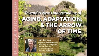 Toward a New Understanding of Aging, Adaptation, and the Arrow of Time