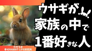 うさぎが家族の中で一番好きな人に見せる行動