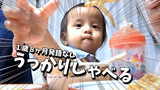 [自閉症]発語なしだと思ったら急にしゃべった？！【うーたんねる】１歳８ヶ月