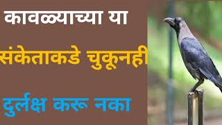 Chanakya Niti: कावळ्याच्या या संकेताकडे  चुकूनही दुर्लक्ष करू नका