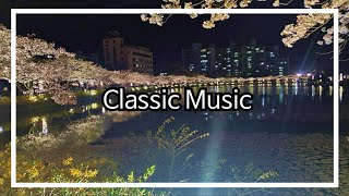 Chopin Nocturne op.9 no.2 violin music Relaxing music 1hour loop
