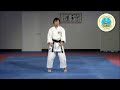 heian godan international hayashi ha shito ryu