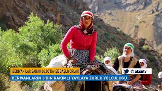 Berivanların 3 Bin Rakımlı Yaylaya Zorlu Yolculuğu
