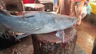 New Technique Live Giant CatFish Cutting Skills at Roadside Fish Market Super Performance cutting sk