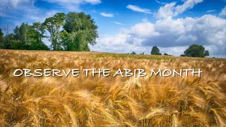 What Does Abib Mean For the Scriptural New Year?