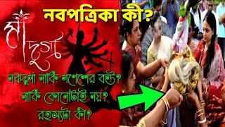 দুর্গাপূজার আগে অবশ্যই জানুন নবপত্রিকা দুর্গাপূজা কী? | অনেকেই জানেনা |  Durgapuja 2021| Nabapatrika