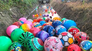 Lempar bola dan belajar jenis bola di irigasi sawah,bola sepak,bola basket,bola karakter,bola warna.