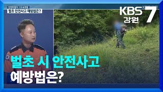 [안전지킴이 119브리핑] 벌초 시 안전사고 예방법은? / KBS  2023.09.13.