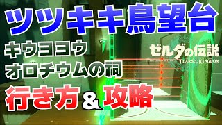 キウヨヨウ、オロチウムの祠、ツツキキ鳥望台の行き方＆攻略【ゼルダの伝説ティアーズオブザキングダム】