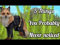 5 Things You Probably NEVER Noticed in Wildcraft!