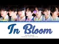 |AI COVER| HOW WOULD ENHYPEN SING 'IN BLOOM' BY ZB1 (Color Coded Lyrics)