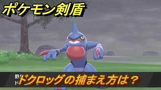 ポケモン剣盾　ドクロッグの出現場所は？オススメの場所は？天気は？ポケモン図鑑コンプへの道！　最新版【ポケモンソード・シールド】