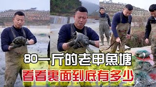 80壹斤包下壹個八年的老甲魚塘，看看裏面到底有什麽#三農 #戶外 #抓魚#農村生活  #我要上熱門 #小飛哥