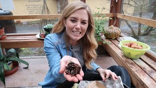 Sustainability From Your Sofa | Living Off Grid with Maddie Moate | Earth Science