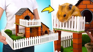 Costruiamo Un Mini-Parco Giochi Fai Da Te A Misura Di Criceto 🧱🐹❤️