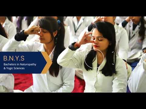 Bachelor Of Naturopathy & Yogic Sciences - YouTube