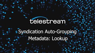 Vantage TrafficManager   Syndication Auto Grouping and Lookup