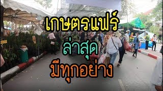 งานเกษตรแฟร์ ล่าสุด พาเดินกันอย่างจุใจ