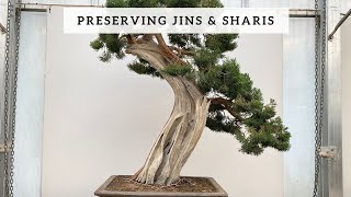 Preserving Jins & Sharis