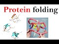 Protein folding mechanism