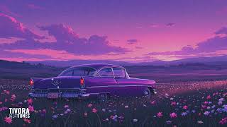 Cruise Through the Night: A Lofi Experience