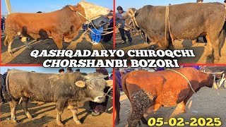 QASHQADARYO CHIROQCHI CHORSHANBI MOL BOZORI 05-02-2025