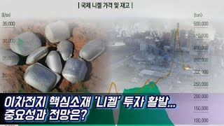 [비즈앤머니 출연] 이차전지 핵심소재 '니켈' 국내 기업 투자 활발...중요성과 전망은?