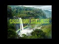 Cascading Stillness ( Guitar | Relax | Dinning | Romance | Sleep | Study )