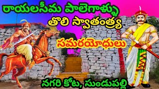 పాలెగాళ్ల పురాతన కోట, నగరి, సుండుపల్లి #paleganador #nagarifort #history #trending #puratanakota