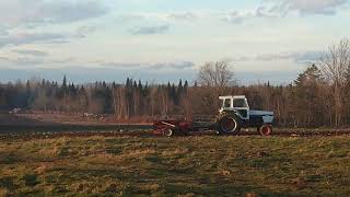 Case 1690 picking rocks with the riteway