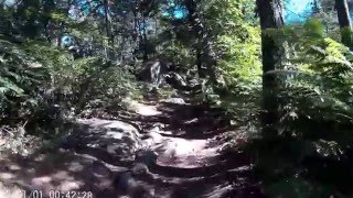 De melun à bourron-marlotte en vtt partie 24