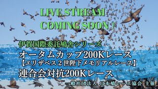 2024年度 伊賀国際委託鳩舎レース「オータムカップ・連合会対抗200K」ライブ配信！（アーカイブ）