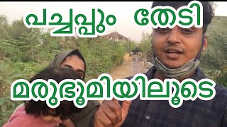 കൺകുളിര്മയേകുന്ന മരൂഭൂമിയിലെ പച്ചപ്പ് ! |AAZ VLOGS|