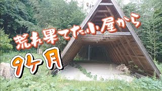 小屋と出会って9ヶ月！癒やしの小屋暮らし #1