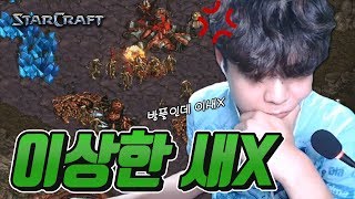 장기전 주의) 질럿만 뽑는 이상한 새X를 만났습니다 - 스타크래프트 (StarCraft)