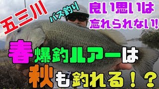 【五三川】春に爆釣したルアーは秋も釣れる？【バス釣り】