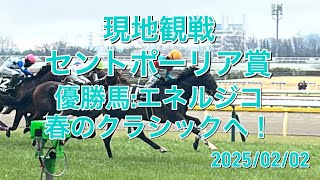 【現地】セントポーリア賞:エネルジコ(ドゥラメンテ産駒)