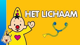 Het lichaam - Leren met Bumba