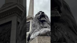 How Much is Nelson’s Column Worth? #history #historyshorts #nelson