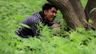 Junglestring Unrated Videos