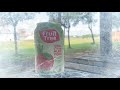 Advertisement F&N Fruit Tree flavored with Apple & Cebisan Aloe Vera