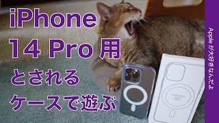 嘘かホントか？iPhone 14 Pro用とされるケースを入手！13 Proとの違いを比べて遊んでみました