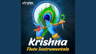 Baro Krishnayya (Instrumental)